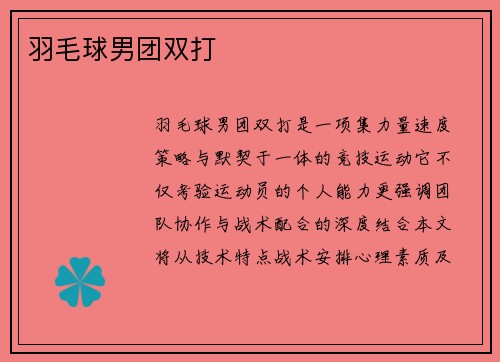 羽毛球男团双打