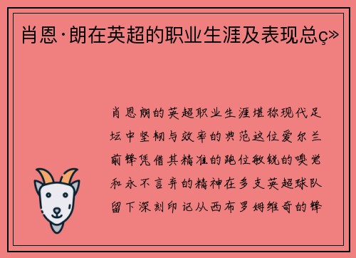 肖恩·朗在英超的职业生涯及表现总结